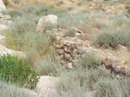 Cerro de la Almagra 2004